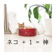 [LINEスタンプ] ネコ ＋ 1 = 神