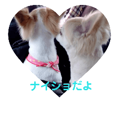[LINEスタンプ] チワワとトイプーの日々