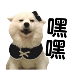 [LINEスタンプ] 日本スピッツLulu