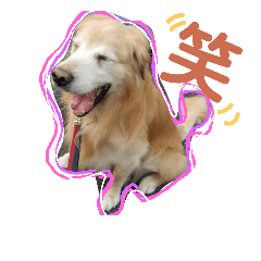 [LINEスタンプ] どうぶつの頷き