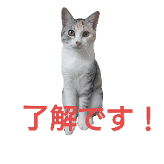 [LINEスタンプ] 麦の日常2