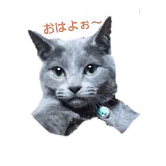 [LINEスタンプ] シエルの気持ち