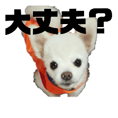 [LINEスタンプ] よんよんのフレンズ