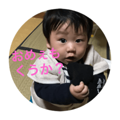 [LINEスタンプ] 毎日こうくん2