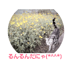 [LINEスタンプ] 幸と仁のねこ日和