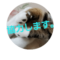 [LINEスタンプ] ひこ＆くー