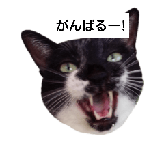 [LINEスタンプ] BU--CHAN