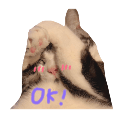 [LINEスタンプ] らっくんのスタンプ