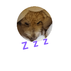 [LINEスタンプ] ssssstampsssss1