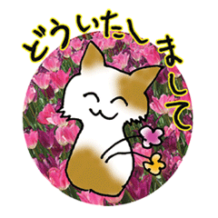 [LINEスタンプ] 花猫-日常の挨拶