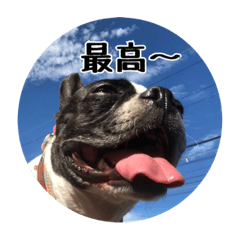 [LINEスタンプ] milly's2