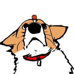 [LINEスタンプ] うちのコーギー（かわいい）