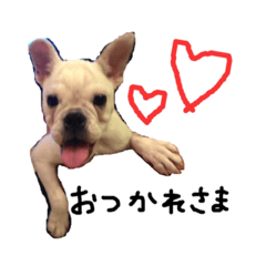 [LINEスタンプ] ベルのベー(幼少期)
