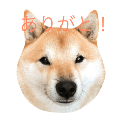 [LINEスタンプ] ムズスタンプ