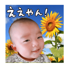 [LINEスタンプ] 大靖くんぽぽちゃん