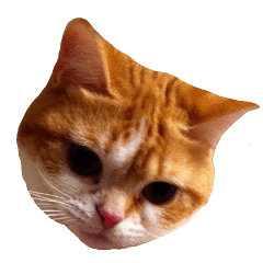 [LINEスタンプ] きなこ スタンプ