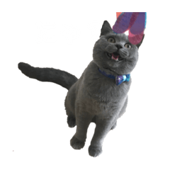 [LINEスタンプ] 我が家のおはぎちゃん