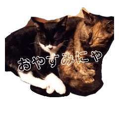 [LINEスタンプ] にゃろめん1