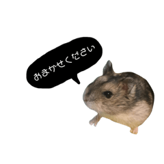 [LINEスタンプ] ハムスターのマグ 写真スタンプ 仕事