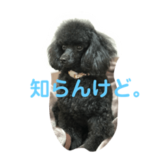 [LINEスタンプ] 家族だろこれ