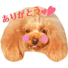 [LINEスタンプ] 来音の看板犬・ひなののスタンプ
