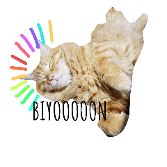 [LINEスタンプ] ネコのチャチャマル