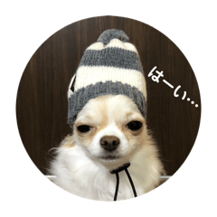 [LINEスタンプ] よく使うtofuの気持ち