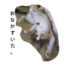 [LINEスタンプ] チビちゃんたち。