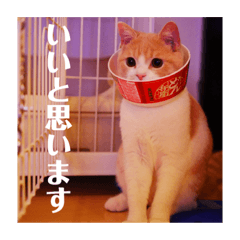 GINGERスタンプリニューアル完全版