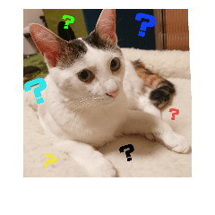 [LINEスタンプ] みけねこつくし