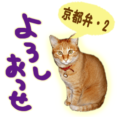 [LINEスタンプ] はんなり京都弁・トラ猫みいちゃん2