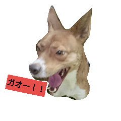 [LINEスタンプ] 長介のオモロスタンプ