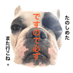 [LINEスタンプ] 愛しのフレブル