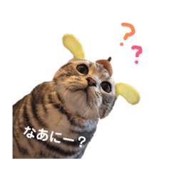 [LINEスタンプ] もよ と びび