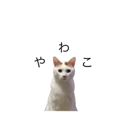 [LINEスタンプ] ららちゃん Ver.1