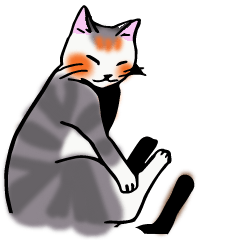 [LINEスタンプ] 日常で使える三毛猫