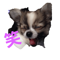 [LINEスタンプ] きりぼんぼん