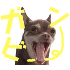 [LINEスタンプ] げタンプ_1