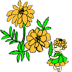 [LINEスタンプ] 身近な花々とその妖精たち