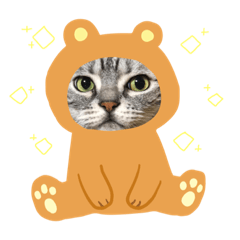 [LINEスタンプ] メリスタンプ(猫)