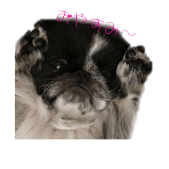 [LINEスタンプ] はなぺちゃ はなちゃん。