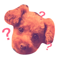[LINEスタンプ] あんず0815