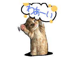 [LINEスタンプ] アメショー親子