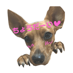 [LINEスタンプ] チワピン クラさん