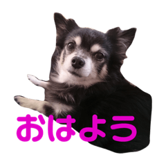 [LINEスタンプ] うちのゆかいな仲間たち 2