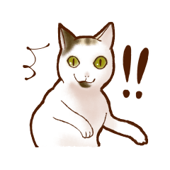 [LINEスタンプ] 三毛猫リーちゃんのスタンプ