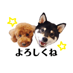 [LINEスタンプ] うたあおちゃん
