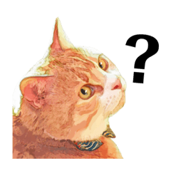 [LINEスタンプ] 猫のももたくん