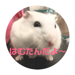[LINEスタンプ] はむ〜スタンプ
