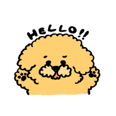 [LINEスタンプ] モコモコプードルこてつくんのスタンプ